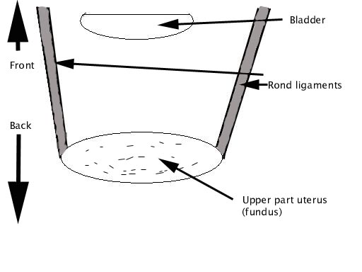  Round ligament and preventing prolapse